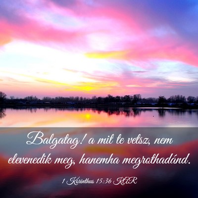 Picture 03 - 1 Korinthus 15:36 KAR - Balgatag! a mit te vetsz, nem elevenedik meg, - Bible Verse Picture