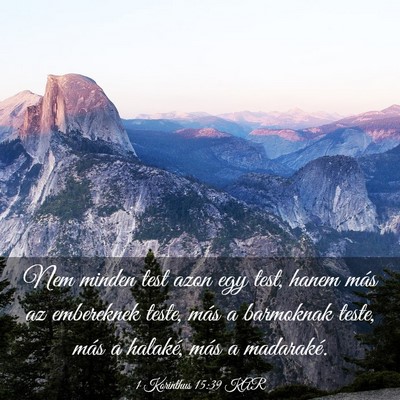 Picture 03 - 1 Korinthus 15:39 KAR - Nem minden test azon egy test, hanem más az - Bible Verse Picture