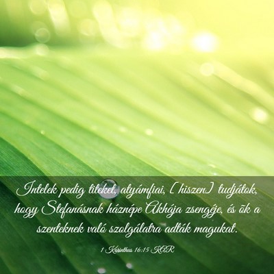 Picture 03 - 1 Korinthus 16:15 KAR - Intelek pedig titeket, atyámfiai, [hiszen] - Bible Verse Picture