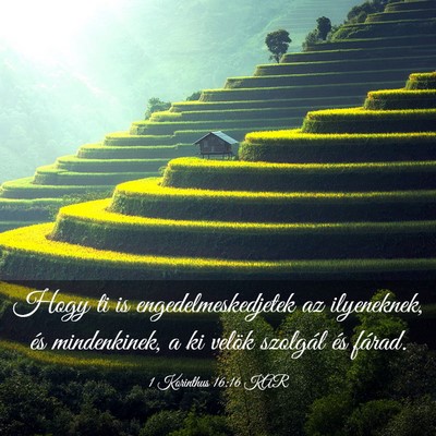 Picture 03 - 1 Korinthus 16:16 KAR - Hogy ti is engedelmeskedjetek az ilyeneknek, és - Bible Verse Picture