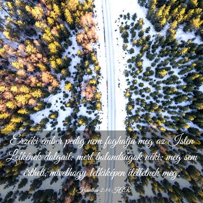 Picture 03 - 1 Korinthus 2:14 KAR - Érzéki ember pedig nem foghatja meg az Isten - Bible Verse Picture