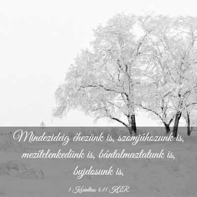 Picture 03 - 1 Korinthus 4:11 KAR - Mindezideig éhezünk is, szomjúhozunk is, - Bible Verse Picture