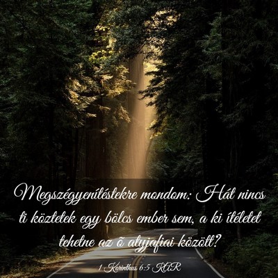 Picture 03 - 1 Korinthus 6:5 KAR - Megszégyenítéstekre mondom: Hát nincs ti - Bible Verse Picture