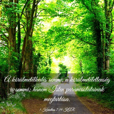 Picture 03 - 1 Korinthus 7:19 KAR - A körülmetélkedés semmi, a - Bible Verse Picture