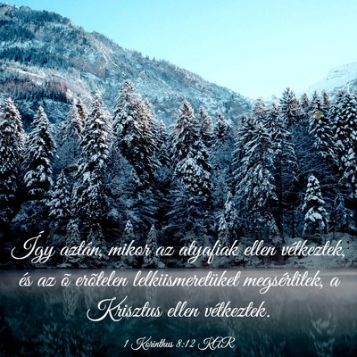 Picture 03 - 1 Korinthus 8:12 KAR - Így aztán, mikor az atyafiak ellen vétkeztek, - Bible Verse Picture