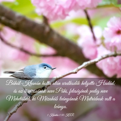 Picture 03 - 1 Krónika 1:50 KAR - Báhál-Khanán holta után uralkodék helyette - Bible Verse Picture