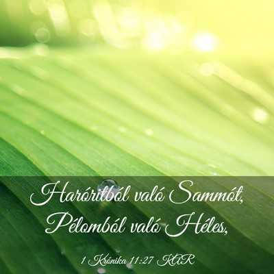 Picture 03 - 1 Krónika 11:27 KAR - Haróritból való Sammót, Pélomból való - Bible Verse Picture