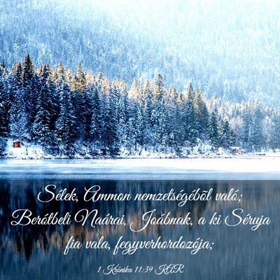 Picture 03 - 1 Krónika 11:39 KAR - Sélek, Ammon nemzetségébõl való; Berótbeli - Bible Verse Picture