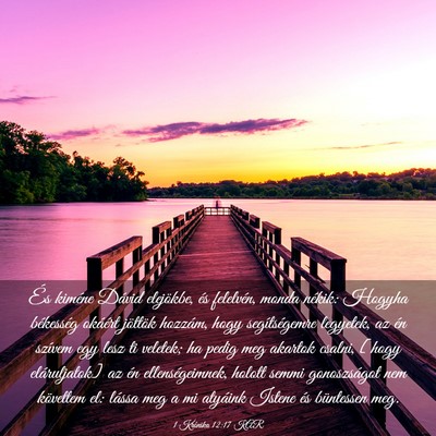 Picture 03 - 1 Krónika 12:17 KAR - És kiméne Dávid elejökbe, és felelvén, - Bible Verse Picture