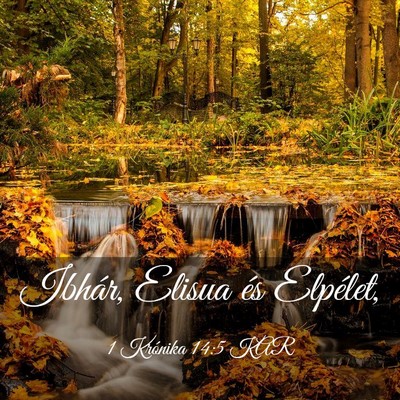 Picture 03 - 1 Krónika 14:5 KAR - Ibhár, Elisua és - Bible Verse Picture