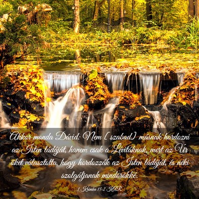 Picture 03 - 1 Krónika 15:2 KAR - Akkor monda Dávid: Nem [szabad] másnak hordozni - Bible Verse Picture