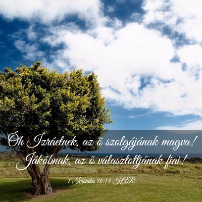 Picture 03 - 1 Krónika 16:13 KAR - Óh Izráelnek, az õ szolgájának magva! - Bible Verse Picture
