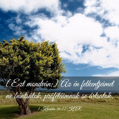 Picture 03 - 1 Krónika 16:22 KAR - [Ezt mondván:] Az én felkentjeimet ne - Bible Verse Picture