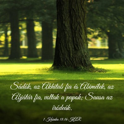 Picture 03 - 1 Krónika 18:16 KAR - Sádók, az Akhitub fia és Abimélek, az - Bible Verse Picture