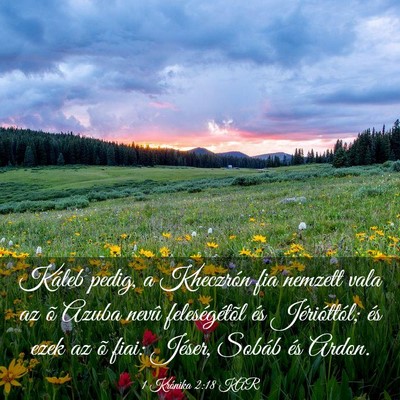 Picture 03 - 1 Krónika 2:18 KAR - Káleb pedig, a Kheczrón fia nemzett vala az õ - Bible Verse Picture