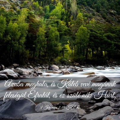 Picture 03 - 1 Krónika 2:19 KAR - Azuba meghala, és Káleb vevé magának - Bible Verse Picture