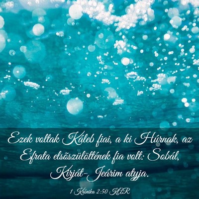 Picture 03 - 1 Krónika 2:50 KAR - Ezek voltak Káleb fiai, a ki Húrnak, az Efrata - Bible Verse Picture