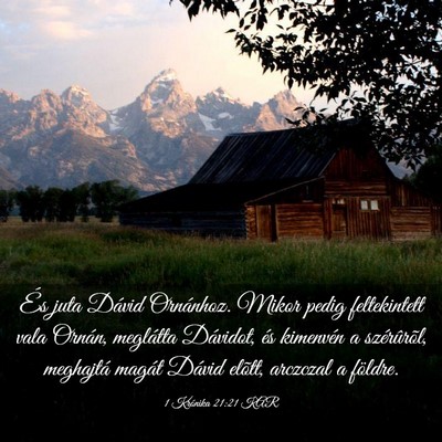 Picture 03 - 1 Krónika 21:21 KAR - És juta Dávid Ornánhoz. Mikor pedig - Bible Verse Picture