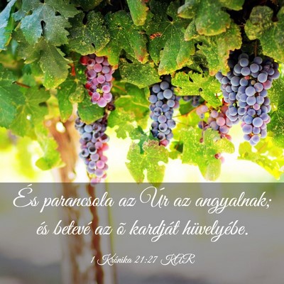 Picture 03 - 1 Krónika 21:27 KAR - És parancsola az Úr az angyalnak; és betevé - Bible Verse Picture