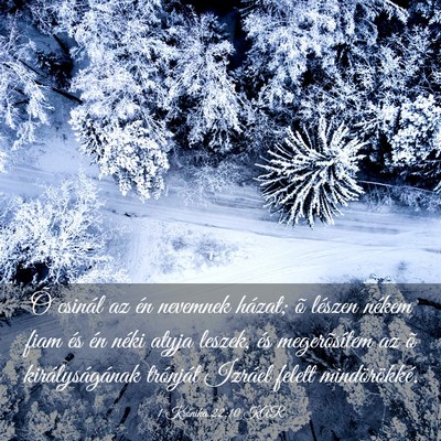 Picture 03 - 1 Krónika 22:10 KAR - Õ csinál az én nevemnek házat; õ lészen - Bible Verse Picture