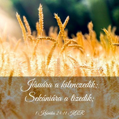 Picture 03 - 1 Krónika 24:11 KAR - Jésuára a kilenczedik; Sekániára a - Bible Verse Picture