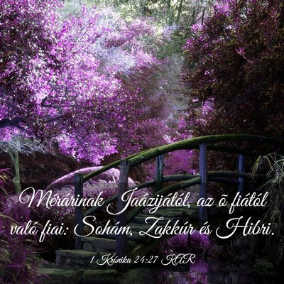 Picture 03 - 1 Krónika 24:27 KAR - Mérárinak Jaázijától, az õ fiától való - Bible Verse Picture