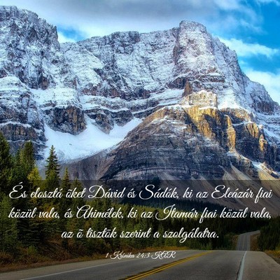 Picture 03 - 1 Krónika 24:3 KAR - És elosztá õket Dávid és Sádók, ki az - Bible Verse Picture