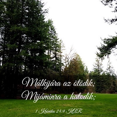 Picture 03 - 1 Krónika 24:9 KAR - Málkijára az ötödik; Mijáminra a - Bible Verse Picture