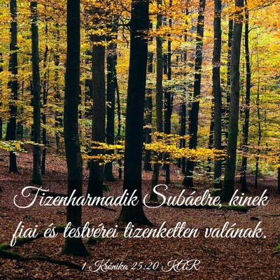 Picture 03 - 1 Krónika 25:20 KAR - Tizenharmadik Subáelre, kinek fiai és - Bible Verse Picture