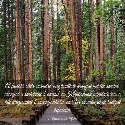 Picture 03 - 1 Krónika 28:18 KAR - A füstölõ oltár számára megtisztított - Bible Verse Picture