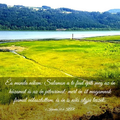 Picture 03 - 1 Krónika 28:6 KAR - És monda nékem: Salamon a te fiad építi meg - Bible Verse Picture