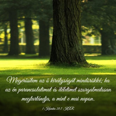 Picture 03 - 1 Krónika 28:7 KAR - Megerõsítem az õ királyságát mindörökké; - Bible Verse Picture