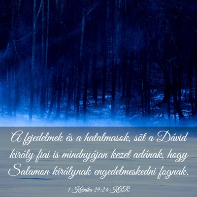 Picture 03 - 1 Krónika 29:24 KAR - A fejedelmek és a hatalmasok, sõt a Dávid - Bible Verse Picture