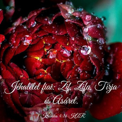Picture 03 - 1 Krónika 4:16 KAR - Jéhalélel fiai: Zif, Zifa, Tirja és - Bible Verse Picture