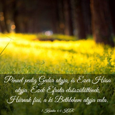 Picture 03 - 1 Krónika 4:4 KAR - Pénuel pedig Gedor atyja, és Ezer Húsa atyja. - Bible Verse Picture