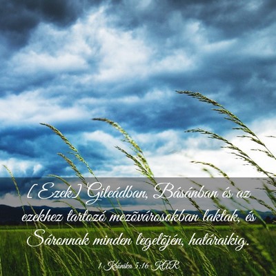 Picture 03 - 1 Krónika 5:16 KAR - [Ezek] Gileádban, Básánban és az ezekhez - Bible Verse Picture