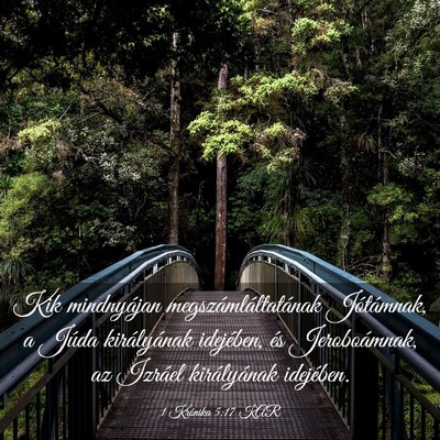 Picture 03 - 1 Krónika 5:17 KAR - Kik mindnyájan megszámláltatának Jótámnak, - Bible Verse Picture