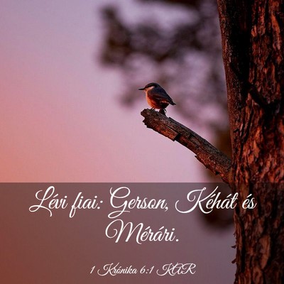 Picture 03 - 1 Krónika 6:1 KAR - Lévi fiai: Gerson, Kéhát és - Bible Verse Picture