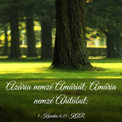 Picture 03 - 1 Krónika 6:11 KAR - Azária nemzé Amáriát; Amária nemzé - Bible Verse Picture