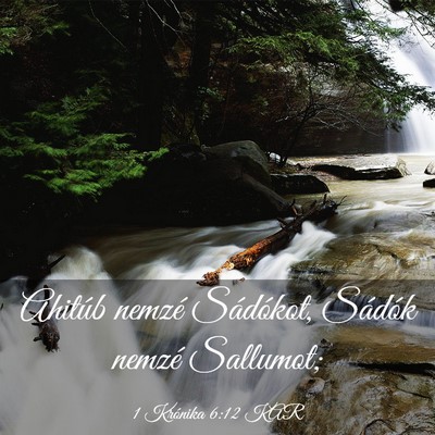 Picture 03 - 1 Krónika 6:12 KAR - Ahitúb nemzé Sádókot, Sádók nemzé - Bible Verse Picture