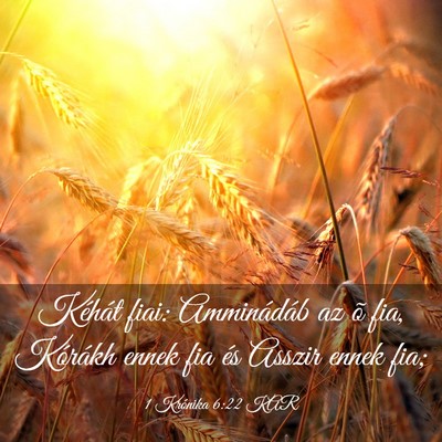 Picture 03 - 1 Krónika 6:22 KAR - Kéhát fiai: Amminádáb az õ fia, Kórákh - Bible Verse Picture