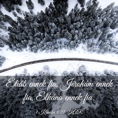 Picture 03 - 1 Krónika 6:27 KAR - Eliáb ennek fia, Jérohám ennek fia, Elkána - Bible Verse Picture
