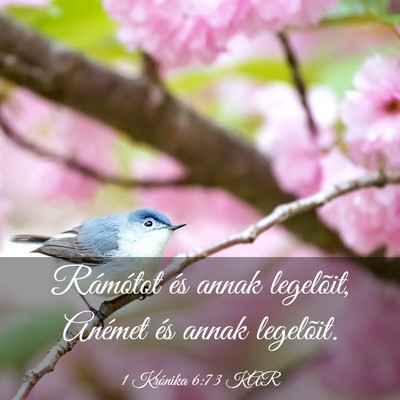 Picture 03 - 1 Krónika 6:73 KAR - Rámótot és annak legelõit, Anémet és annak - Bible Verse Picture