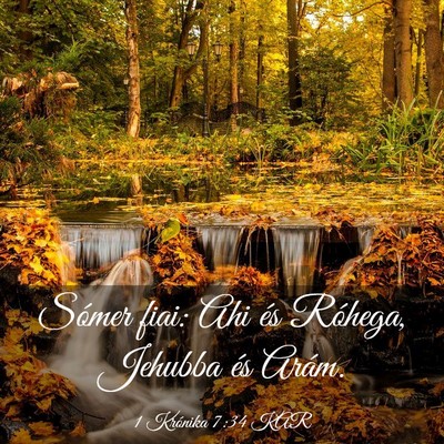 Picture 03 - 1 Krónika 7:34 KAR - Sómer fiai: Ahi és Róhega, Jehubba és - Bible Verse Picture
