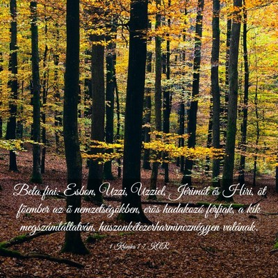 Picture 03 - 1 Krónika 7:7 KAR - Bela fiai: Esbon, Uzzi, Uzziel, Jérimót és - Bible Verse Picture