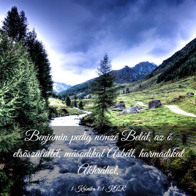 Picture 03 - 1 Krónika 8:1 KAR - Benjámin pedig nemzé Belát, az õ - Bible Verse Picture
