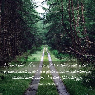 Picture 03 - 1 Mózes 1:25 KAR - Teremté tehát Isten a szárazföldi vadakat - Bible Verse Picture