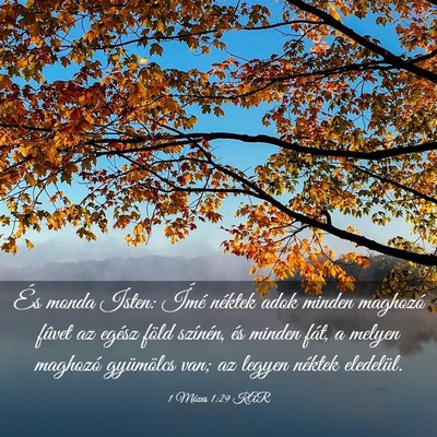 Picture 03 - 1 Mózes 1:29 KAR - És monda Isten: Ímé néktek adok minden - Bible Verse Picture