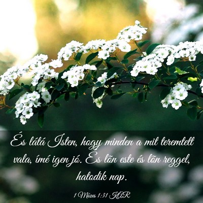 Picture 03 - 1 Mózes 1:31 KAR - És látá Isten, hogy minden a mit teremtett - Bible Verse Picture