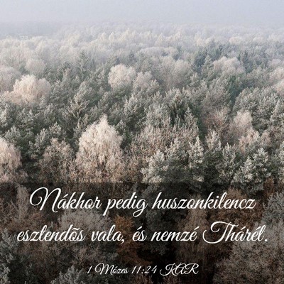 Picture 03 - 1 Mózes 11:24 KAR - Nákhor pedig huszonkilencz esztendõs vala, és - Bible Verse Picture